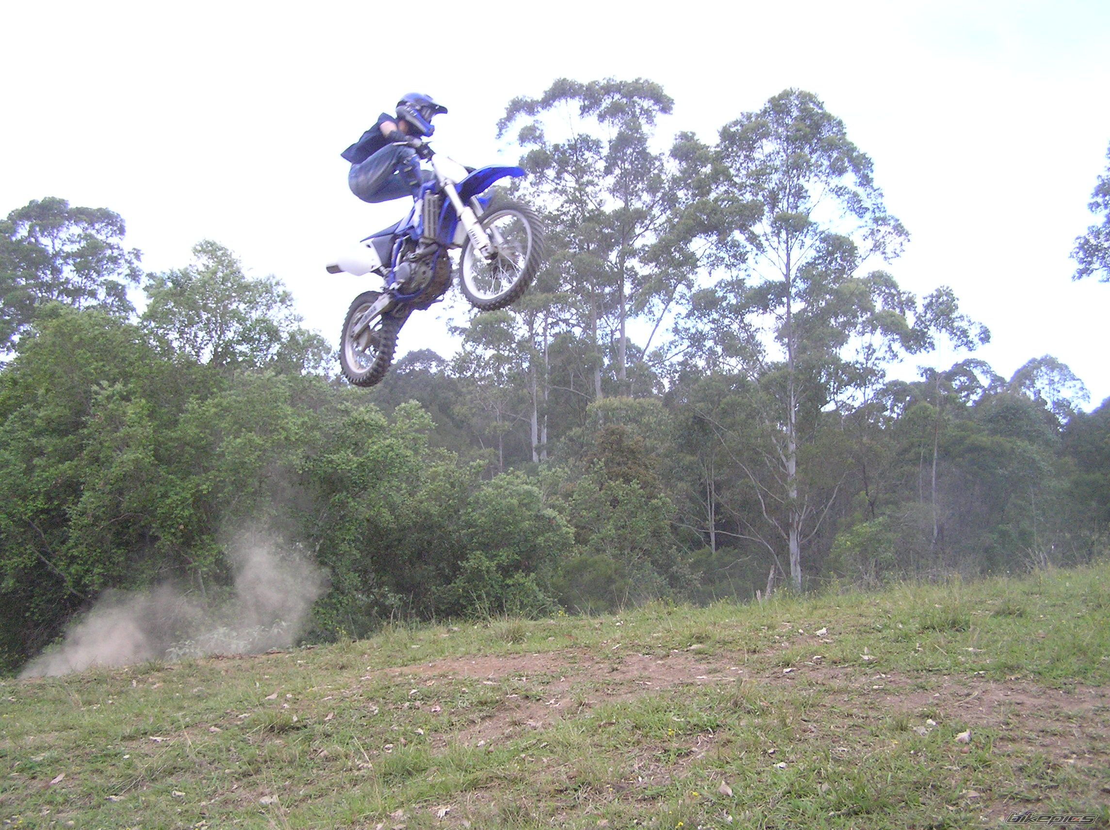 2003 YAMAHA WR 450F | Picture 1051517 motorcycle photo