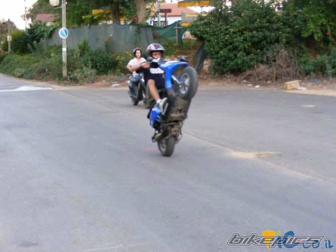 2005 PIAGGIO TYPHOON 50 | Picture 1051896 motorcycle photo
