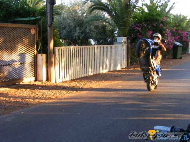 2005 PIAGGIO TYPHOON 50 | Picture 1051897 motorcycle photo