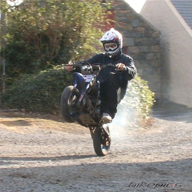 2007 THUMPSTAR 110 | Picture 1051927 motorcycle photo