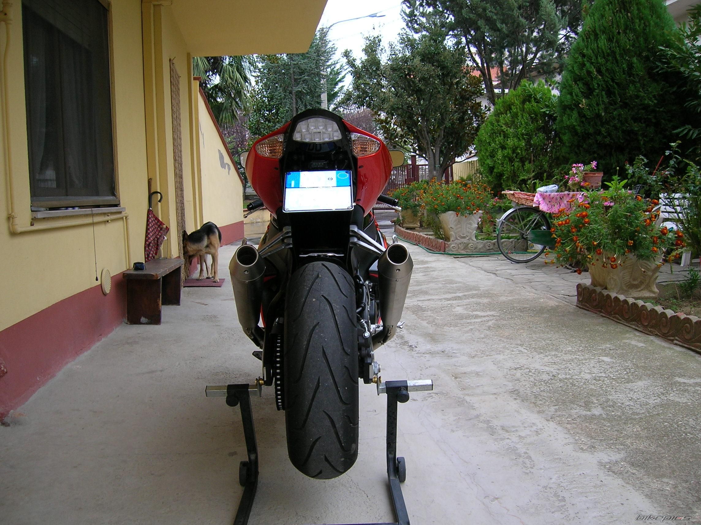 2007 SUZUKI GSX R 1000 | Picture 1052014 motorcycle photo