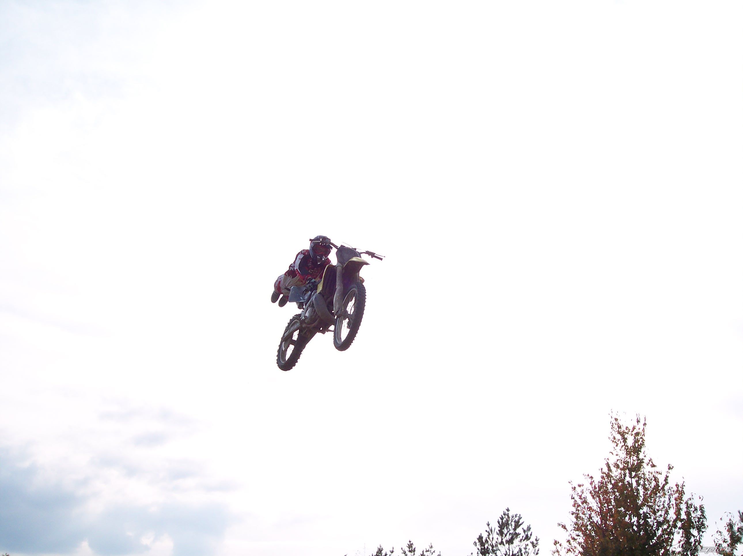 2007 SUZUKI RM 250 | Picture 1052071 motorcycle photo