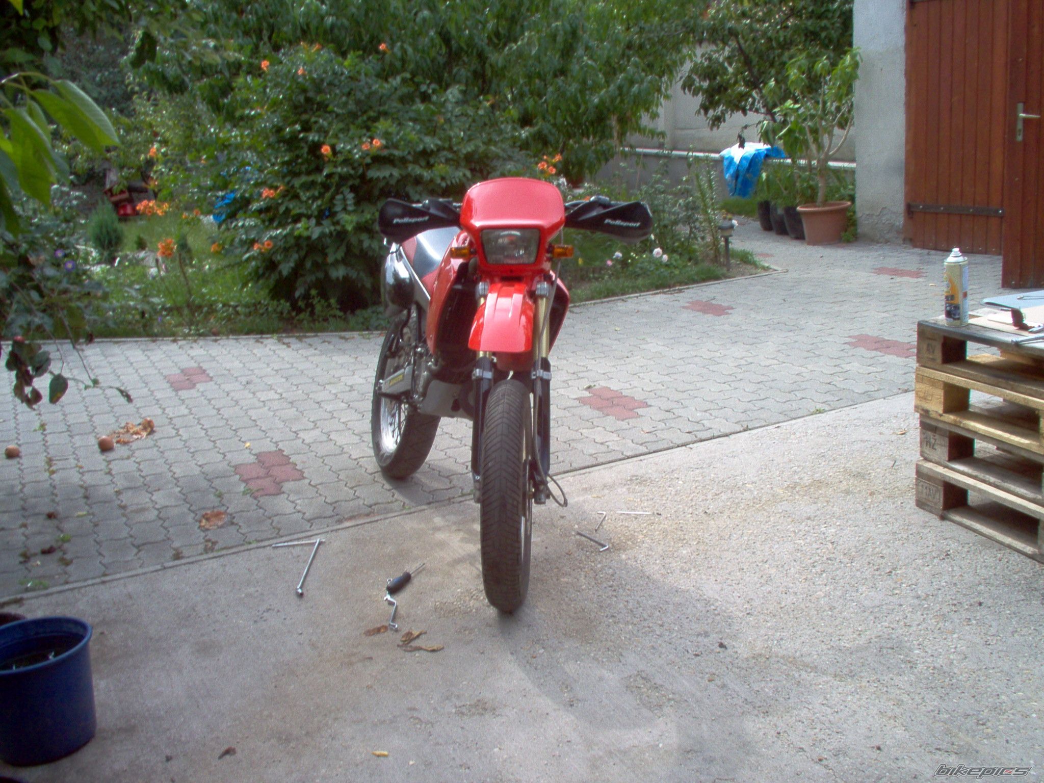 2000 DERBI SENDA R 50 | Picture 1052090 motorcycle photo