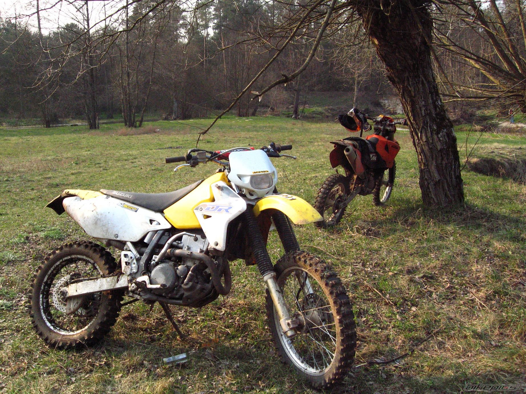 2001 SUZUKI DRZ 400 | Picture 1052105 motorcycle photo