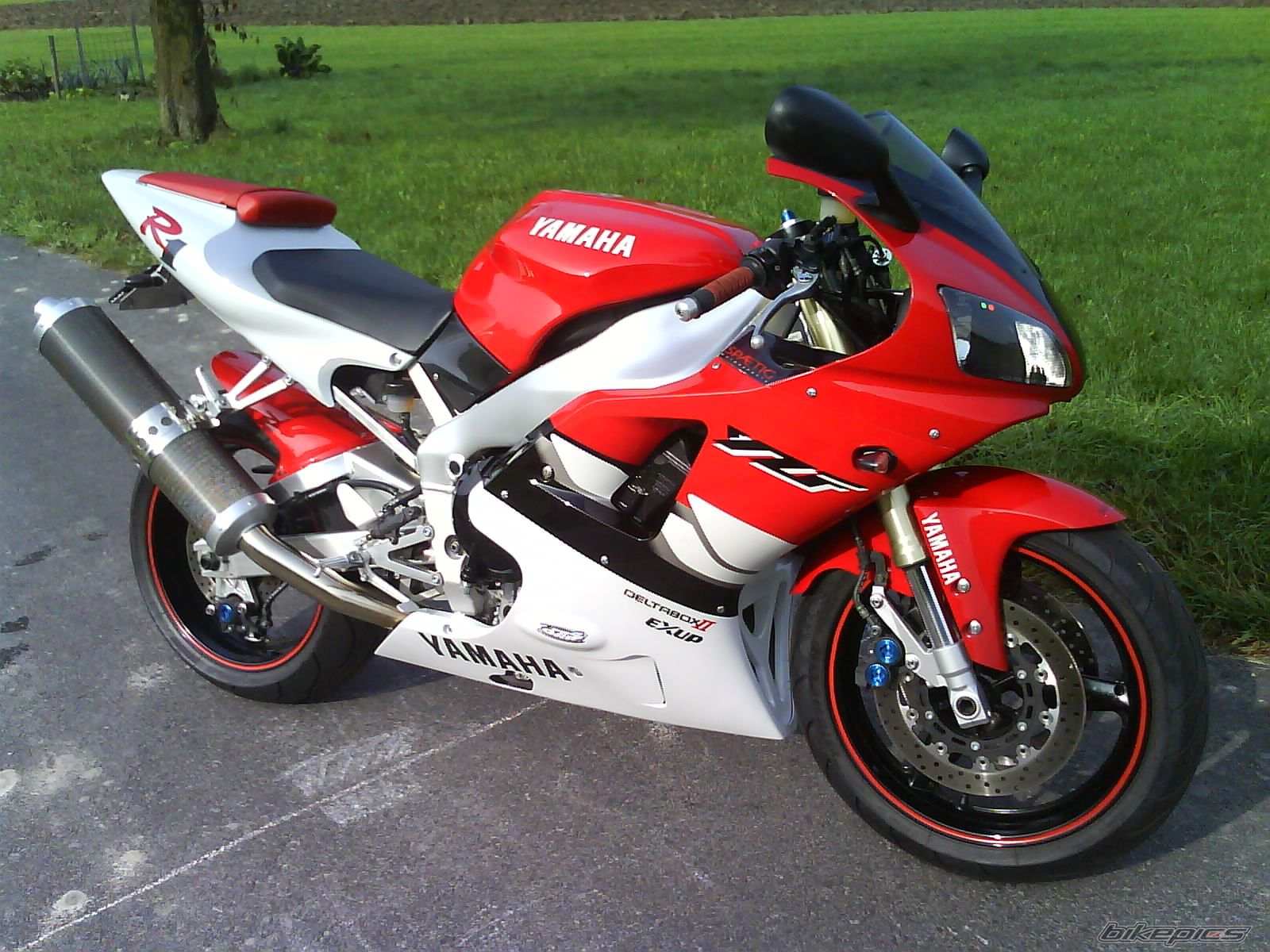 2004 YAMAHA YZF R1 | Picture 1052264 motorcycle photo