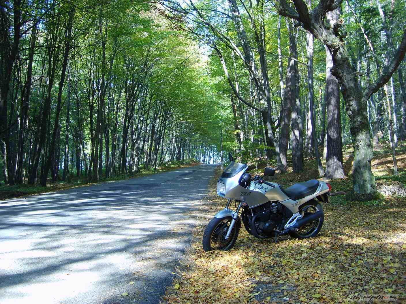 1991 YAMAHA XJ 600 | Picture 1052450 motorcycle photo