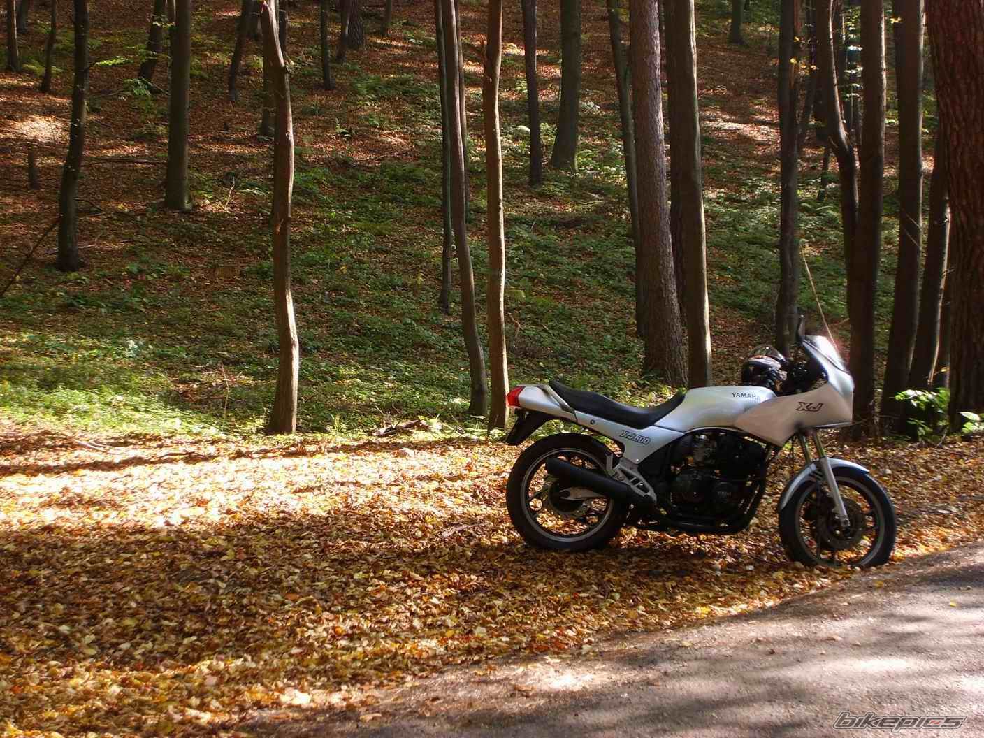 1991 YAMAHA XJ 600 | Picture 1052451 motorcycle photo