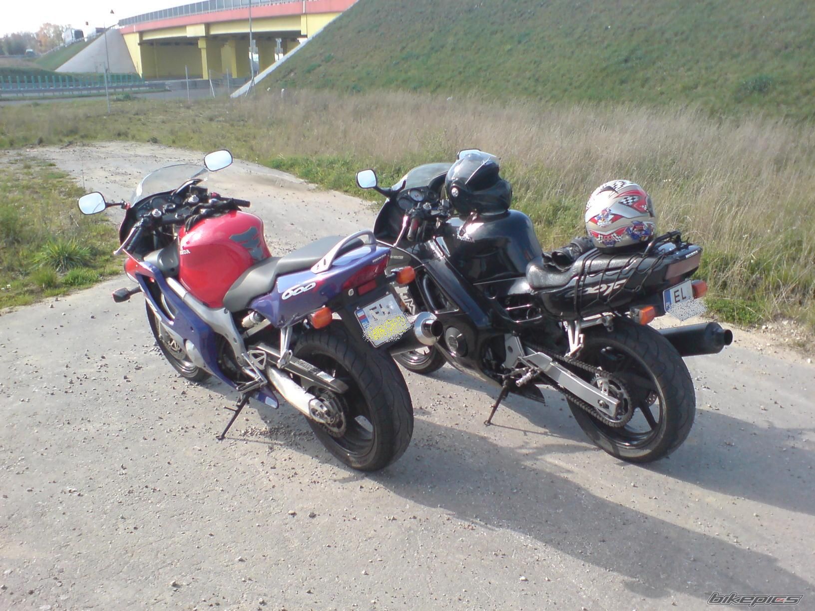 1996 HONDA CBR 600 | Picture 1052581 motorcycle photo