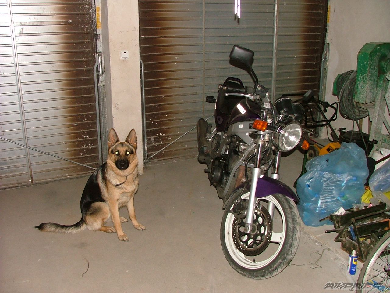 1993 SUZUKI GS 500 | Picture 1052607 motorcycle photo