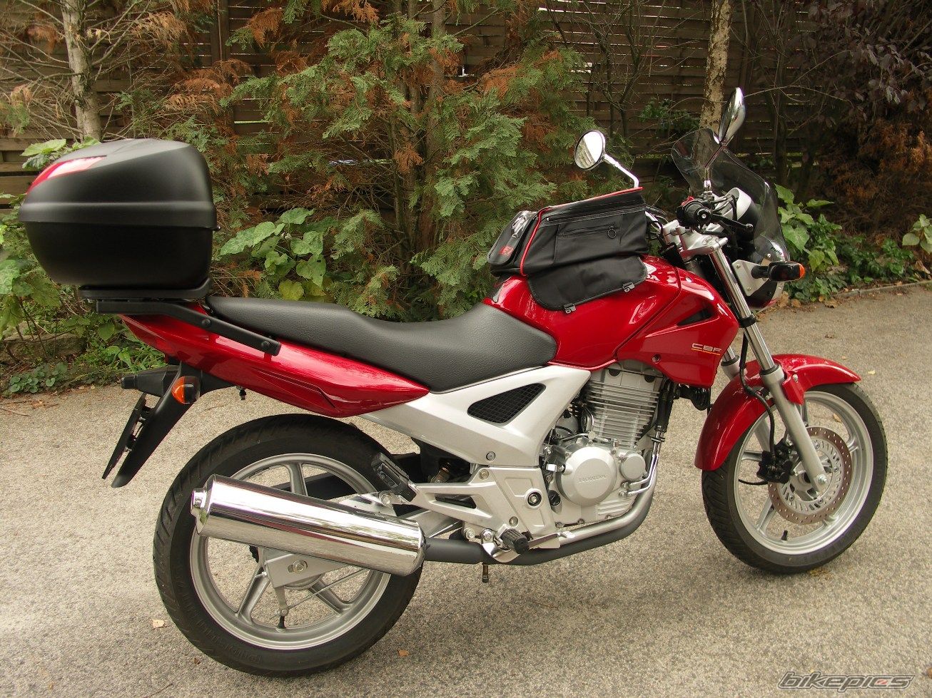 2005 HONDA CBF 250 | Picture 1053350 motorcycle photo