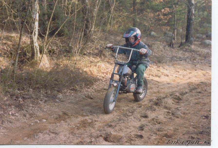 1985 PUCH VS 50 | Picture 105372 motorcycle photo