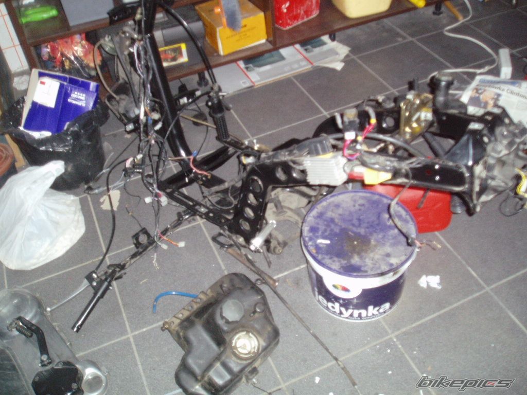 2003 PIAGGIO TPH 50 | Picture 1053761 motorcycle photo