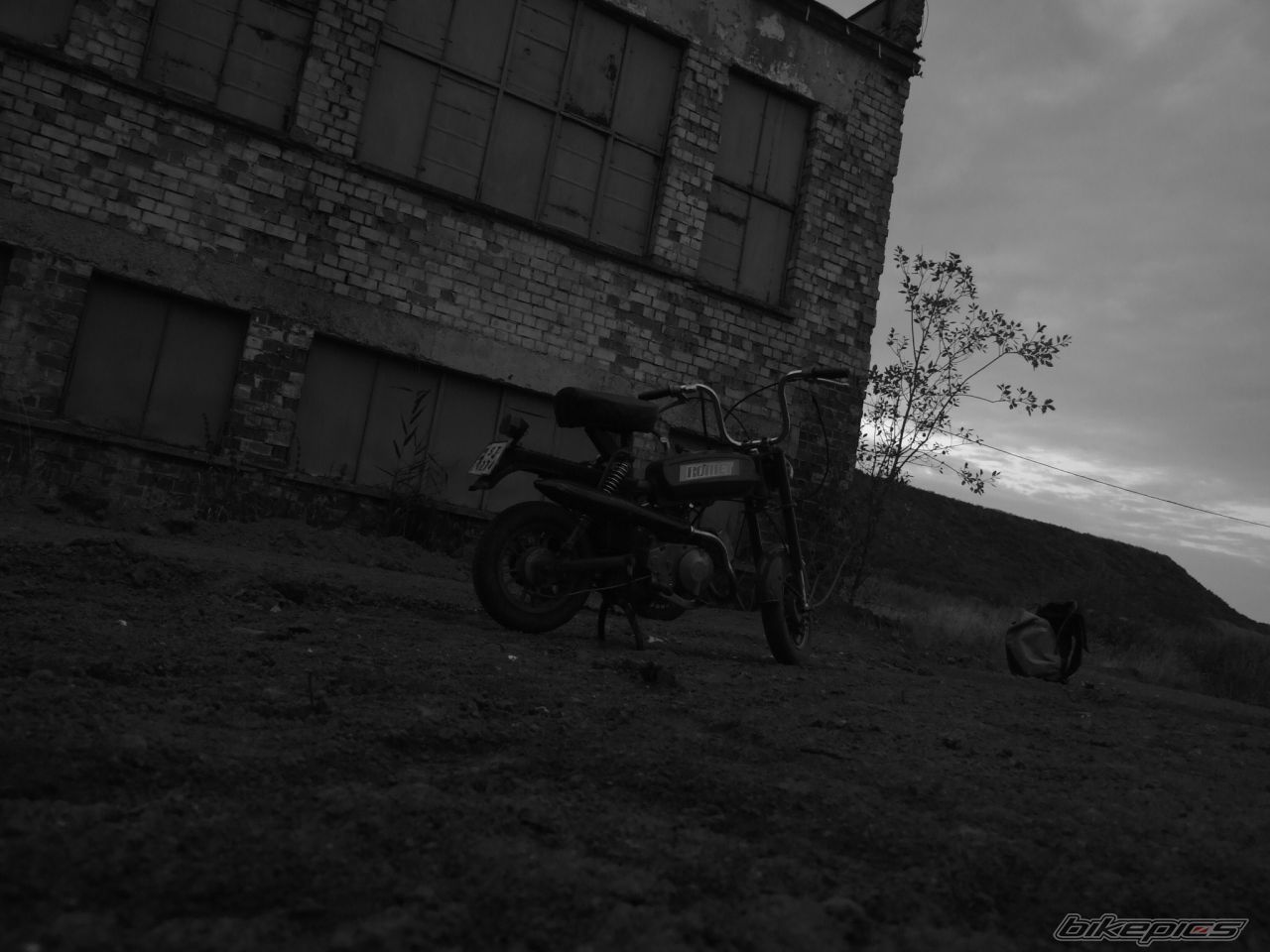 1989 ROMET PONY  M301 | Picture 1053864 motorcycle photo