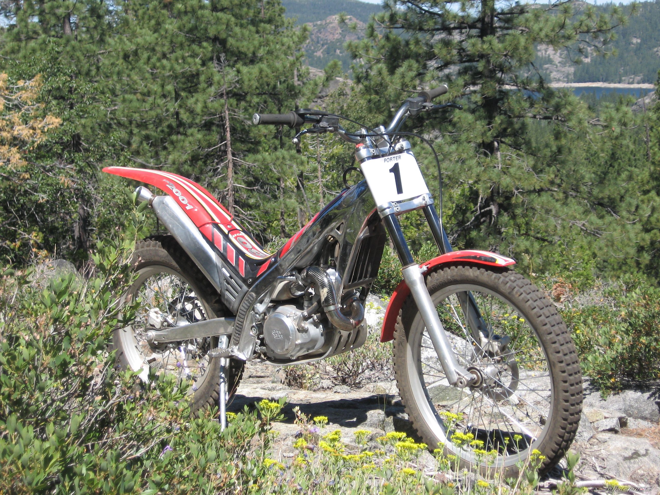 2001 GAS GAS TRIAL 280 | Picture 1054020 motorcycle photo