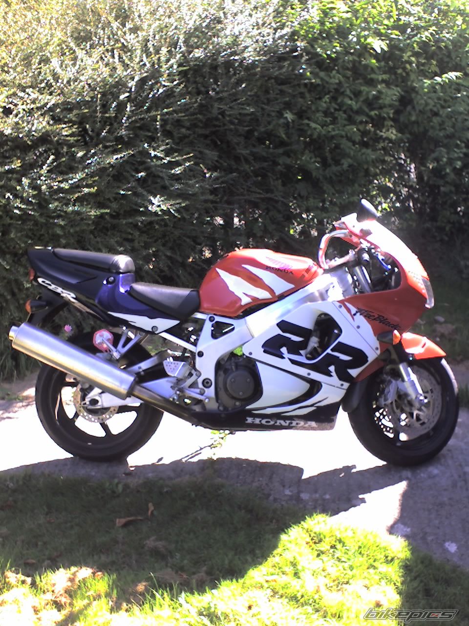 1999 HONDA CBR 900 | Picture 1054638 motorcycle photo