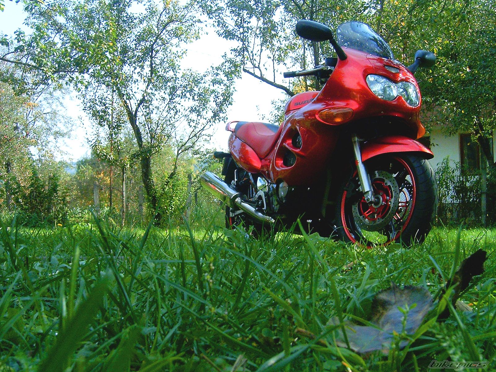 2000 SUZUKI GSX 600 | Picture 1055146 motorcycle photo