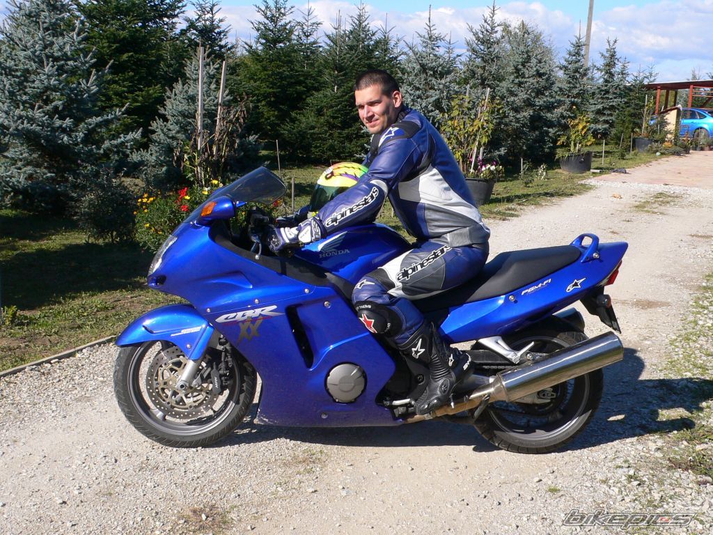 2004 HONDA CBR 1100 BLACKBIRD | Picture 1055352 motorcycle photo