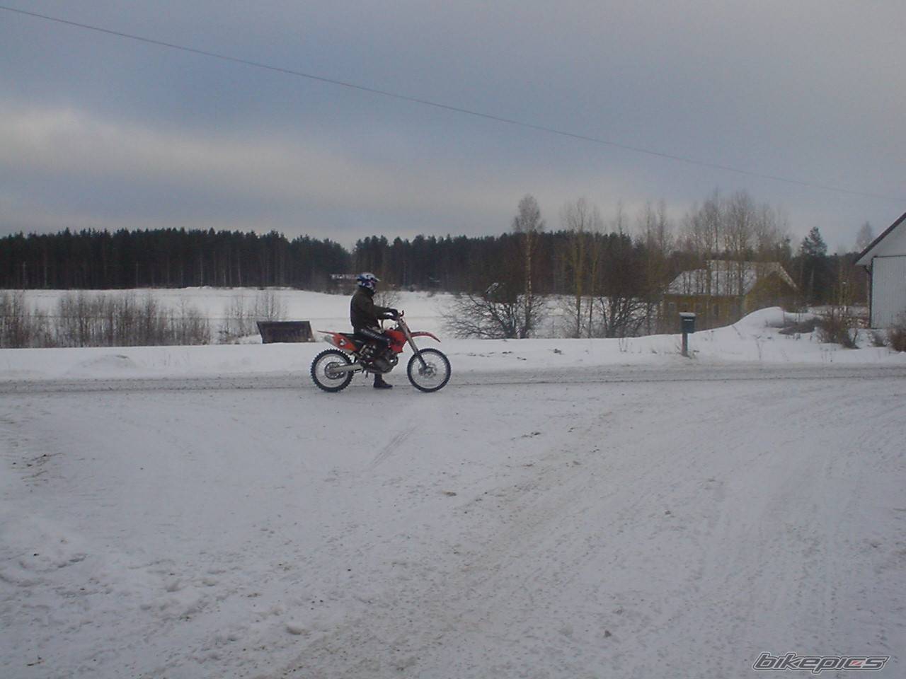 2003 KTM 450 SX | Picture 105546 motorcycle photo