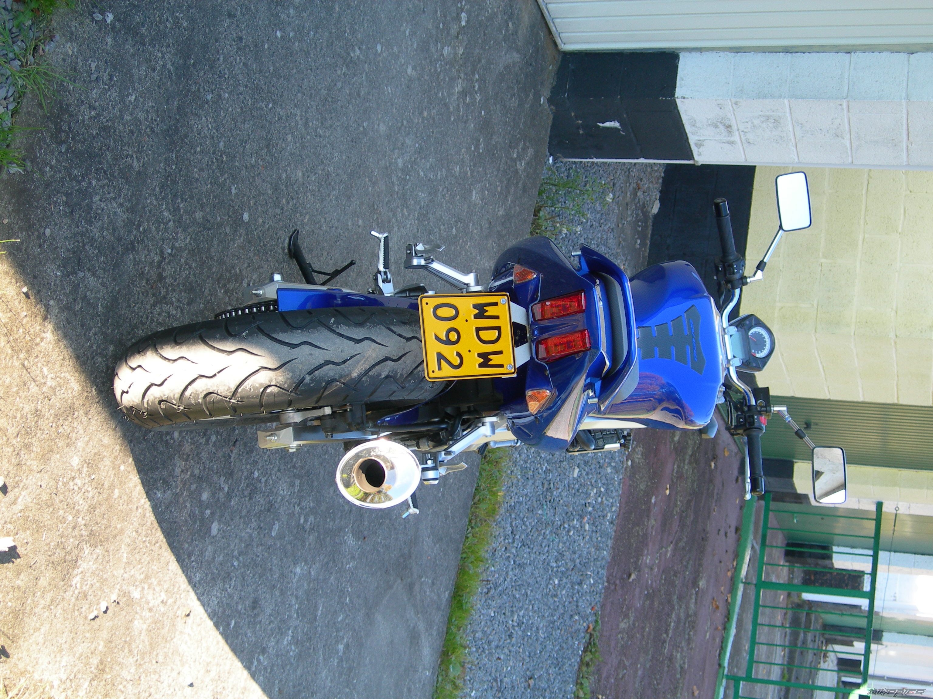 2005 SUZUKI SV 650 | Picture 1055483 motorcycle photo