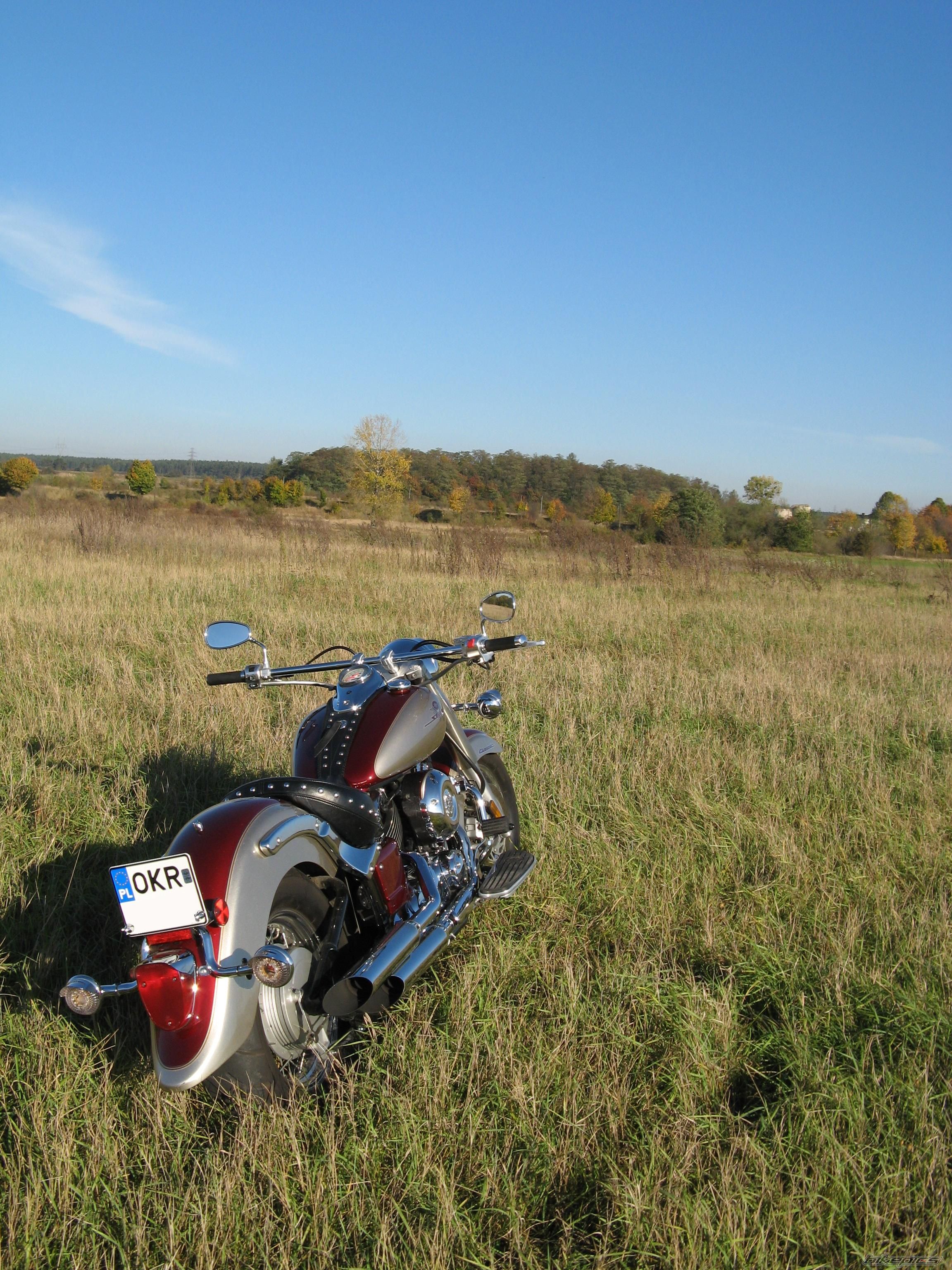 2003 YAMAHA XVS 650 V STAR | Picture 1056581 motorcycle photo