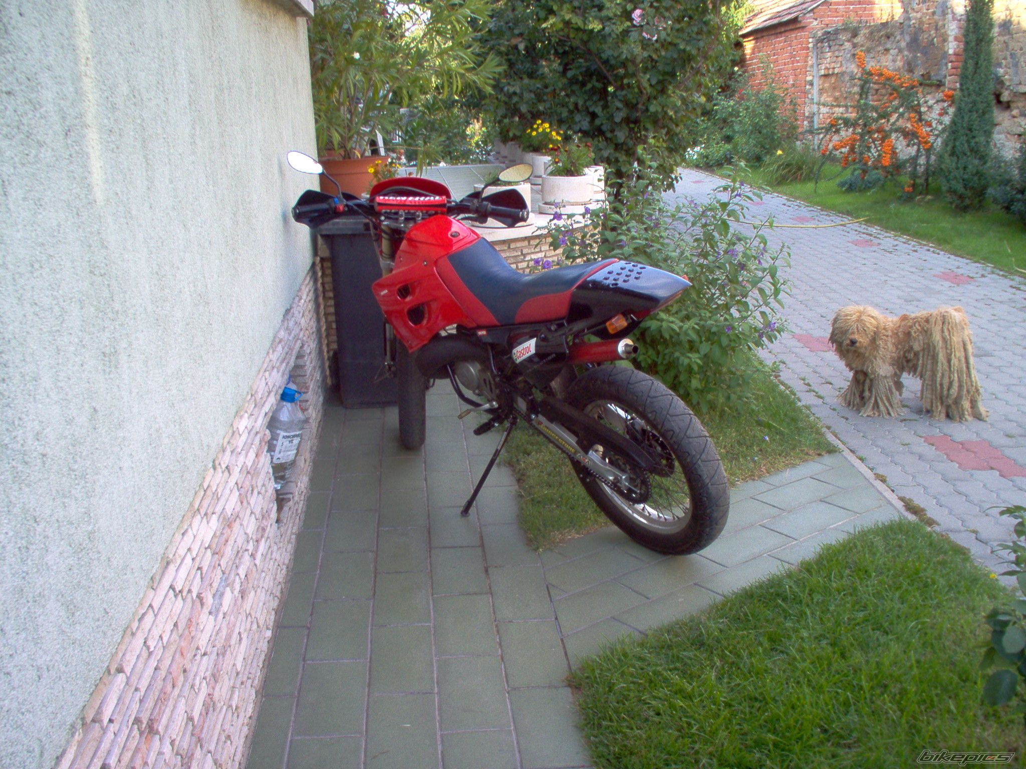 2000 DERBI SENDA R 50 | Picture 1056801 motorcycle photo