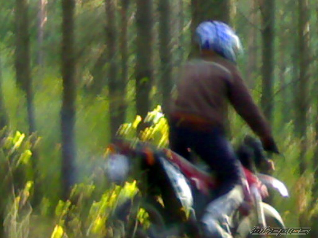 2003 GILERA SMT 50 | Picture 1056806 motorcycle photo