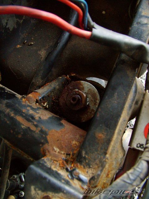 2002 PIAGGIO TPH 50 | Picture 1056838 motorcycle photo