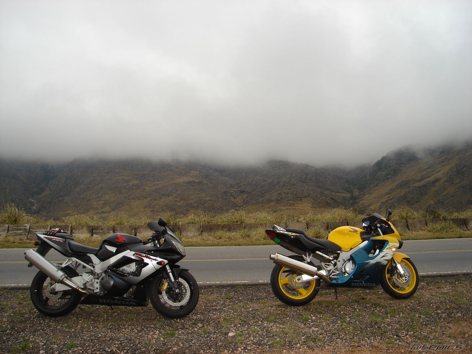 1999 HONDA CBR 600 | Picture 1056985 motorcycle photo