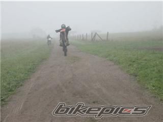 2005 KTM 250 SX | Picture 1057228 motorcycle photo