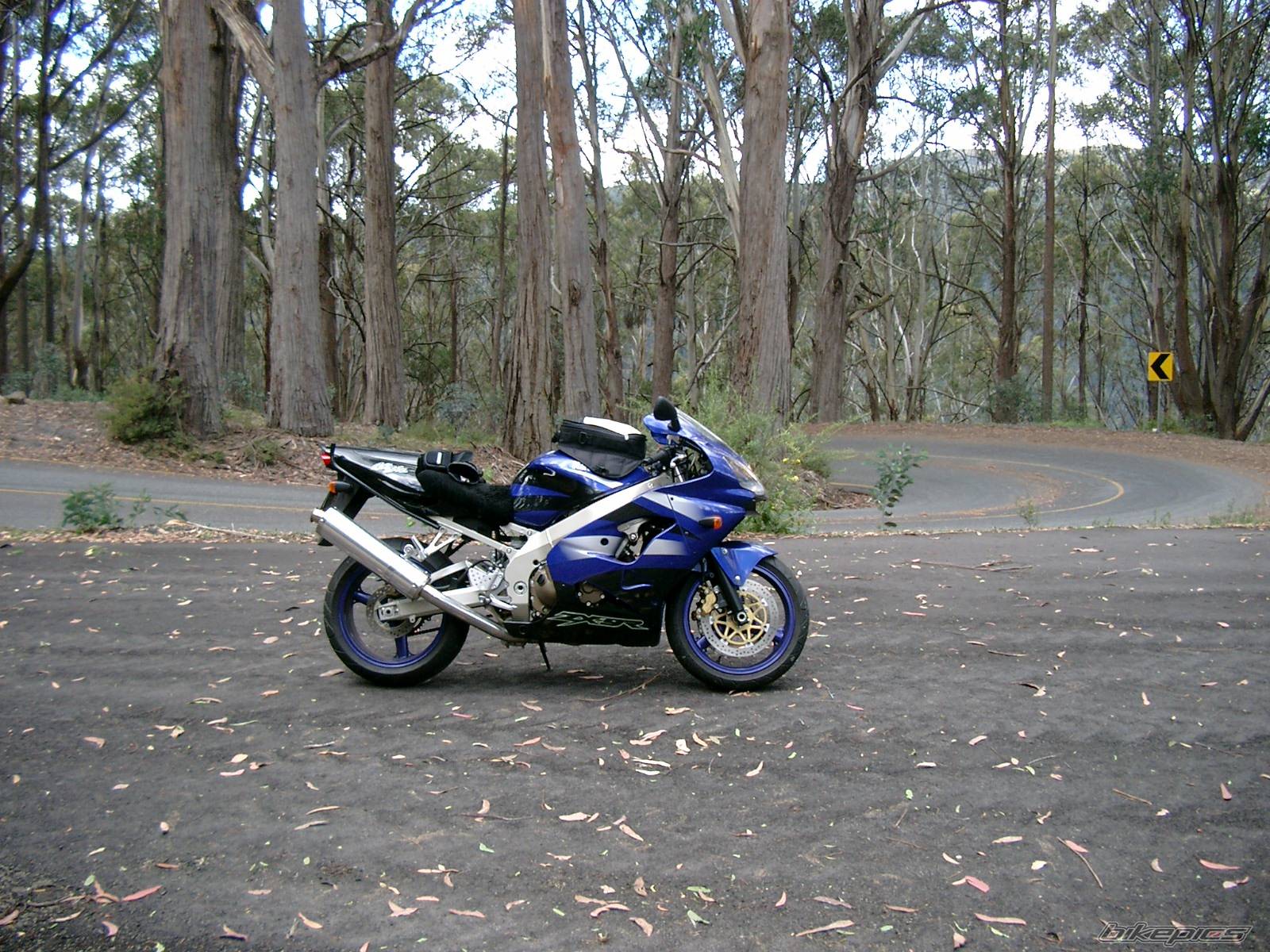 2002 KAWASAKI ZX 9R | Picture 105747 motorcycle photo