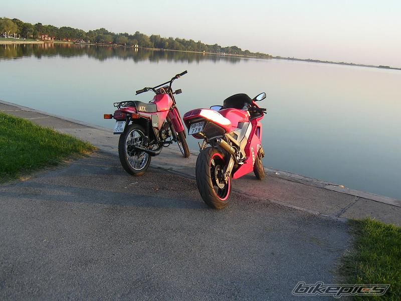 2002 TOMOS ATX 50 C | Picture 1057781 motorcycle photo