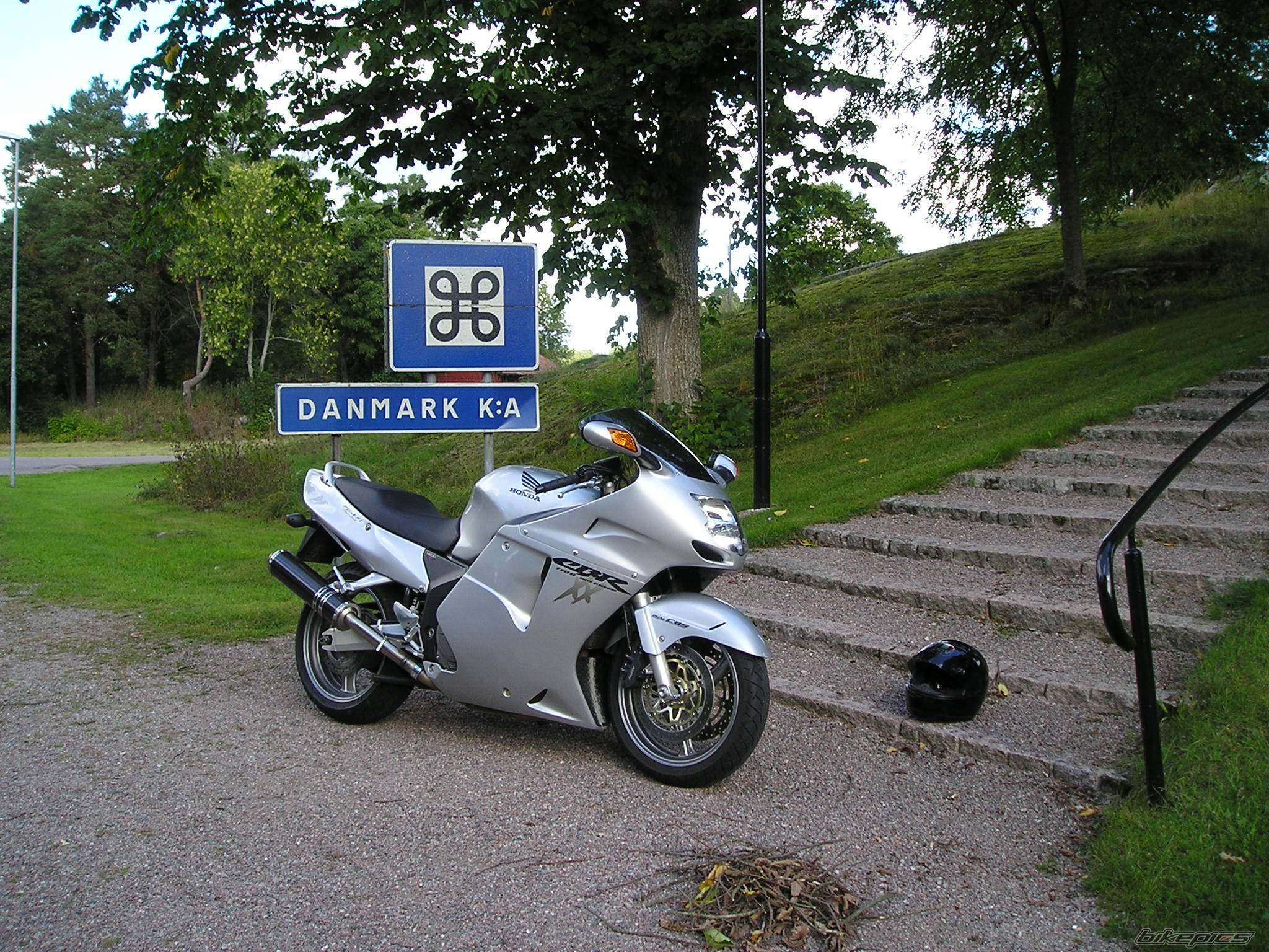 2001 HONDA CBR 1100 BLACKBIRD | Picture 105787 motorcycle photo