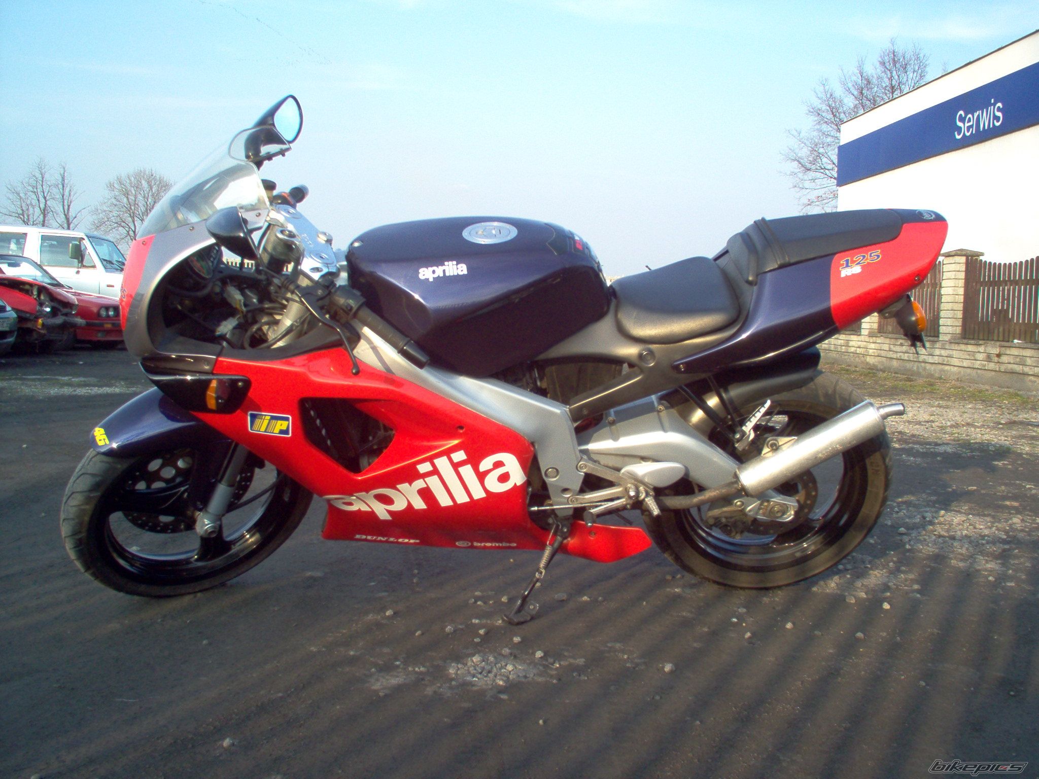 1993 APRILIA RS 125 | Picture 1057908 motorcycle photo