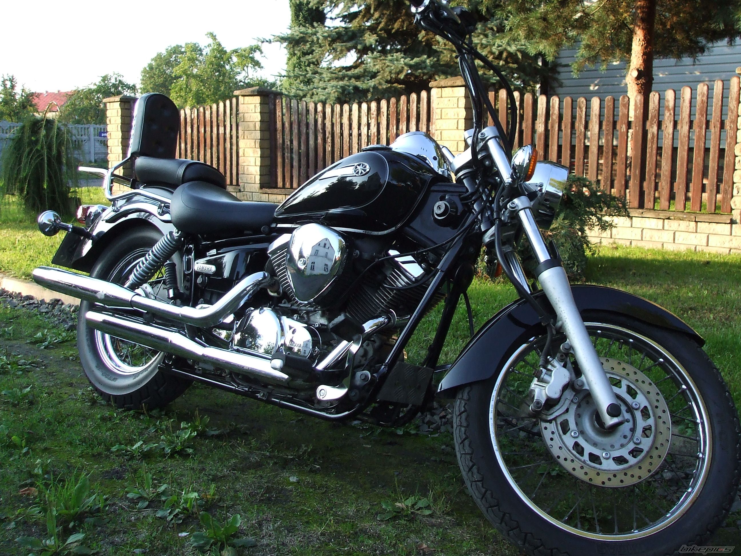 2002 YAMAHA XVS 125 DRAGSTAR | Picture 1057931 motorcycle photo