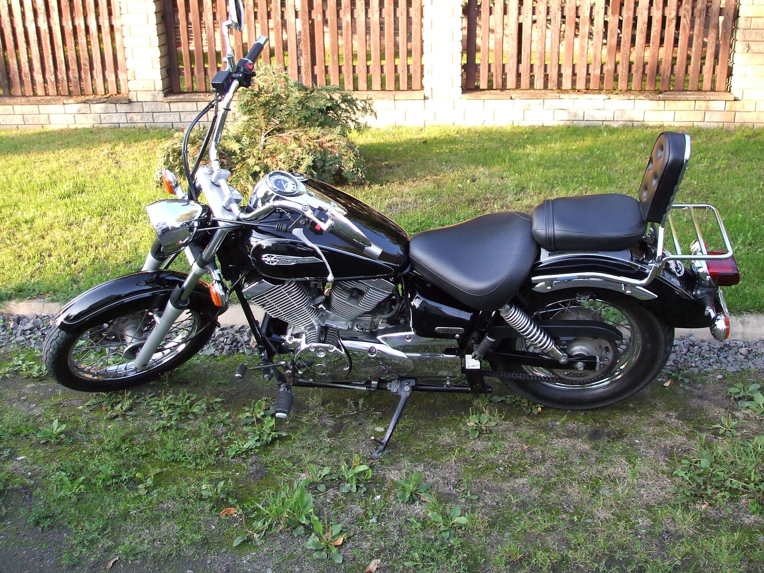 2002 YAMAHA XVS 125 DRAGSTAR | Picture 1057938 motorcycle photo
