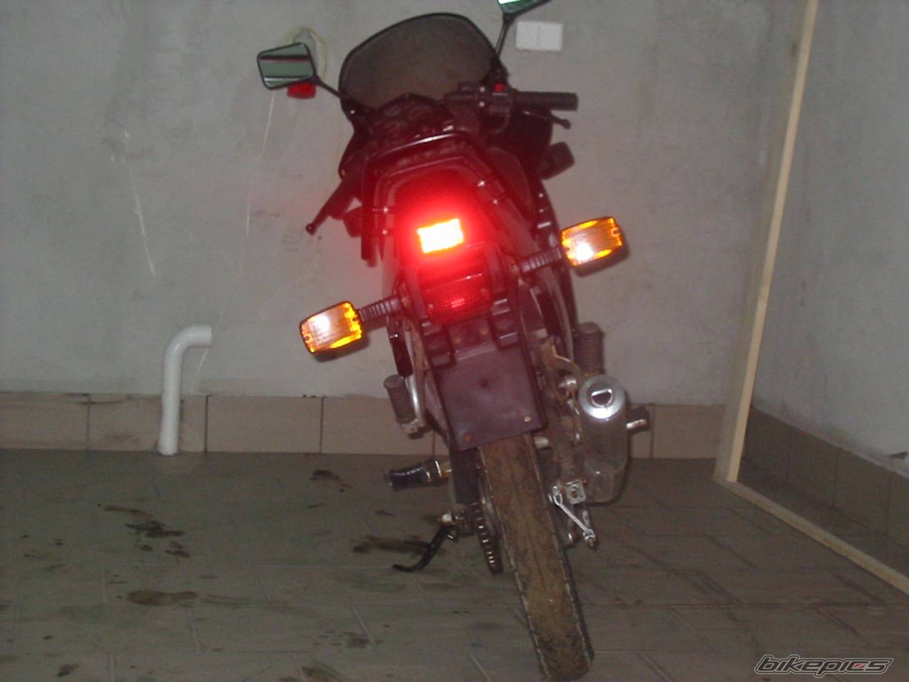 1994 SUZUKI RG 80 | Picture 105815 motorcycle photo