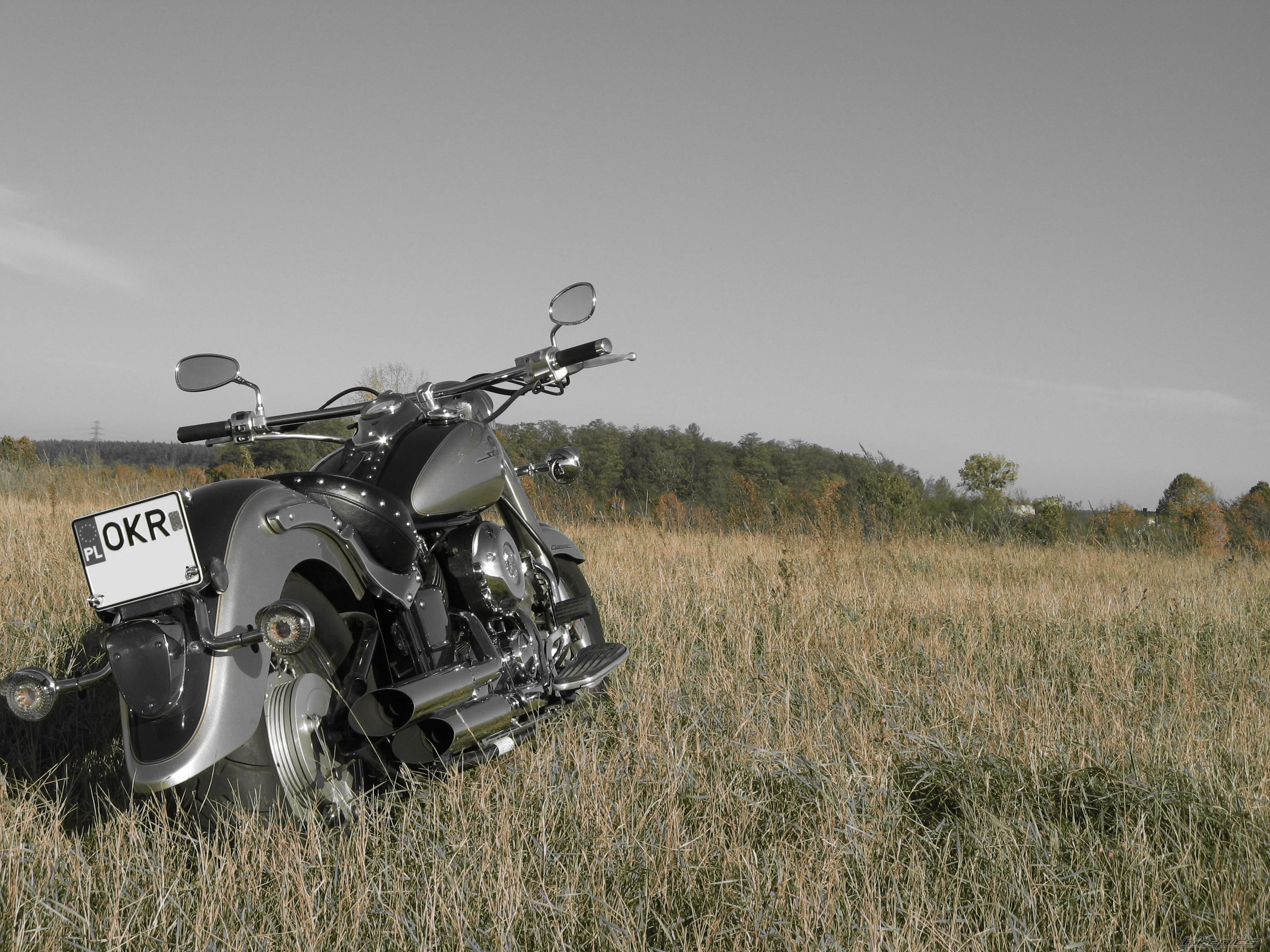 2003 YAMAHA XVS 650 V STAR | Picture 1058192 motorcycle photo