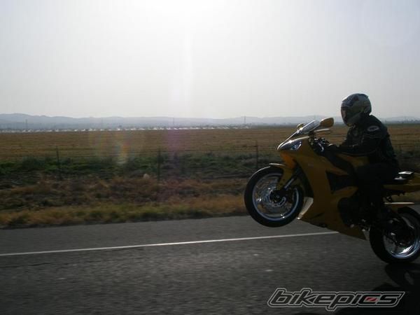 2005 YAMAHA YZF R1 | Picture 1058735 motorcycle photo