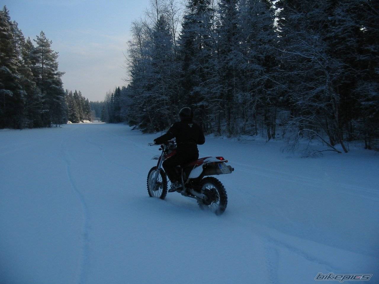 1999 YAMAHA TTR 600 | Picture 105876 motorcycle photo