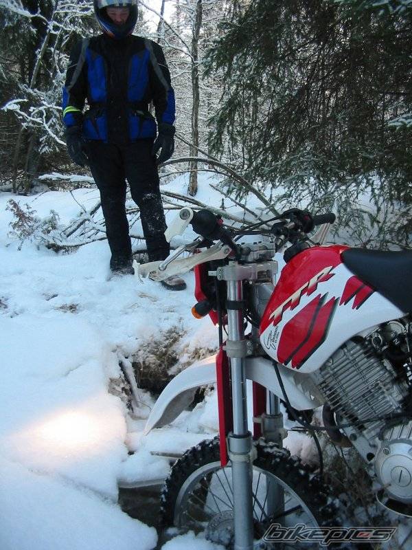 1999 YAMAHA TTR 600 | Picture 105880 motorcycle photo
