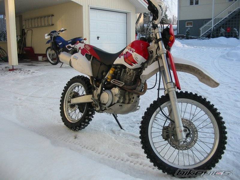 1999 YAMAHA TTR 600 | Picture 105881 motorcycle photo
