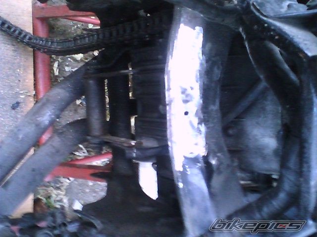 1987 HONDA CBR 1000 F | Picture 1058823 motorcycle photo
