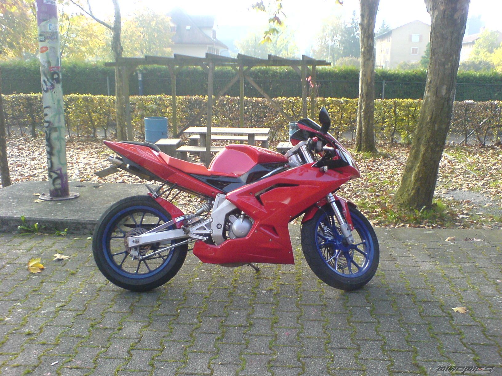 2009 APRILIA RS 50 | Picture 1059120 motorcycle photo