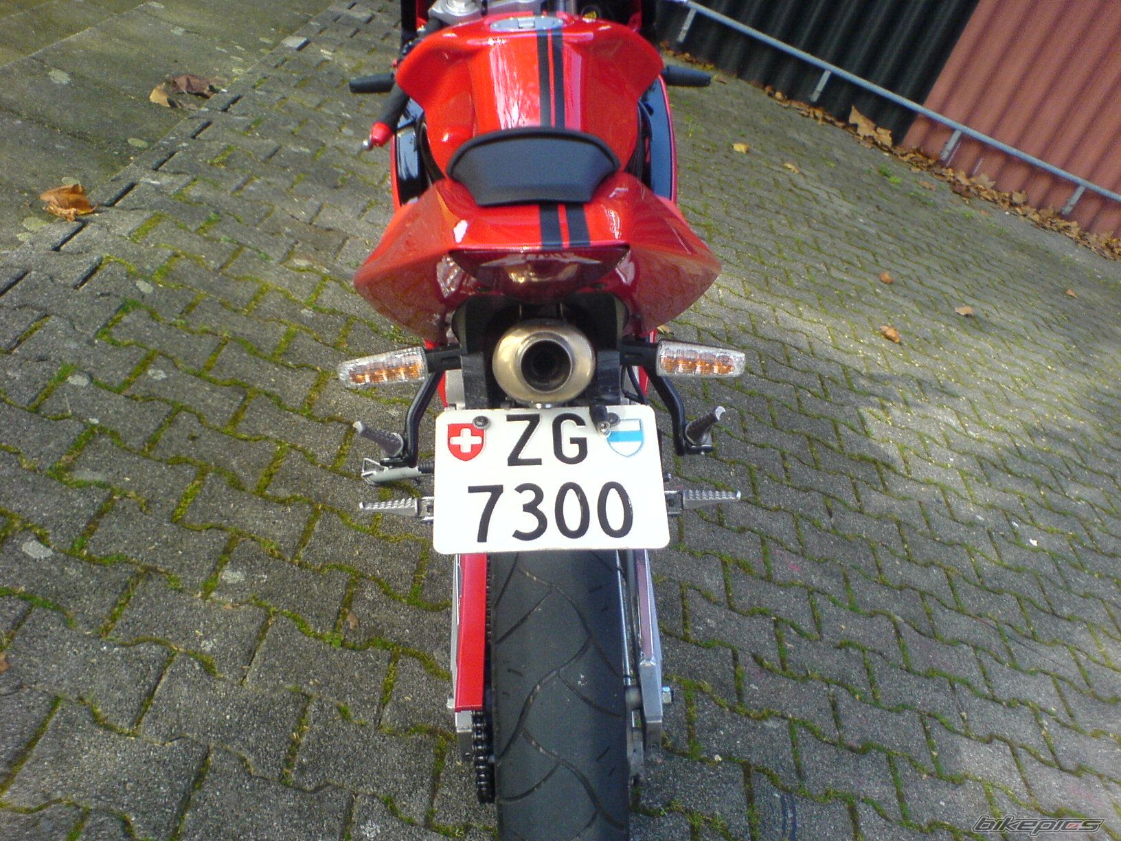 2009 APRILIA RS 50 | Picture 1059123 motorcycle photo