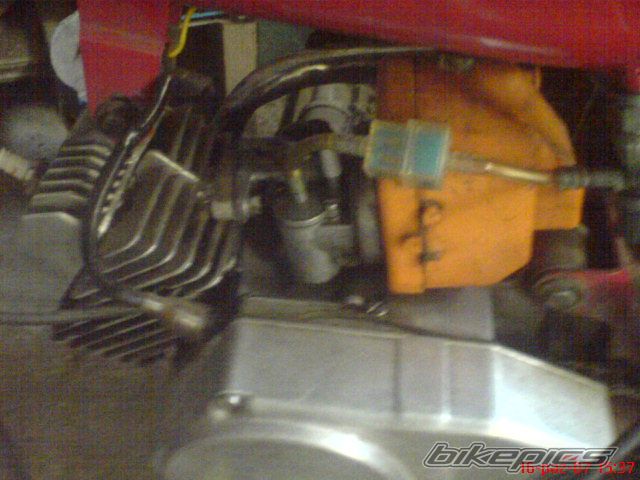 1984 ROMET PONY 50 | Picture 1059296 motorcycle photo