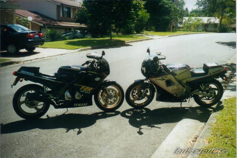 1989 YAMAHA FZR 250 | Picture 10593 motorcycle photo