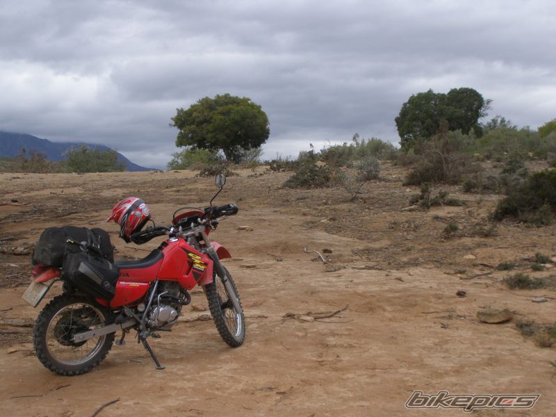 2005 HONDA CT 200 | Picture 1059513 motorcycle photo