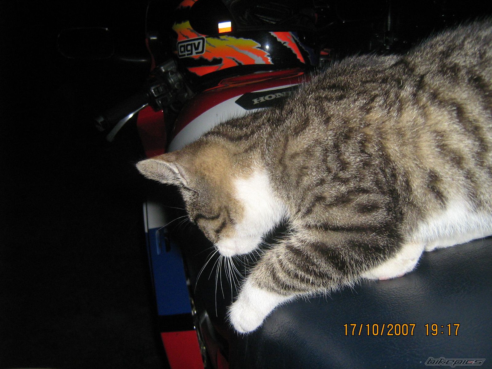 1993 HONDA VFR 750 | Picture 1059611 motorcycle photo