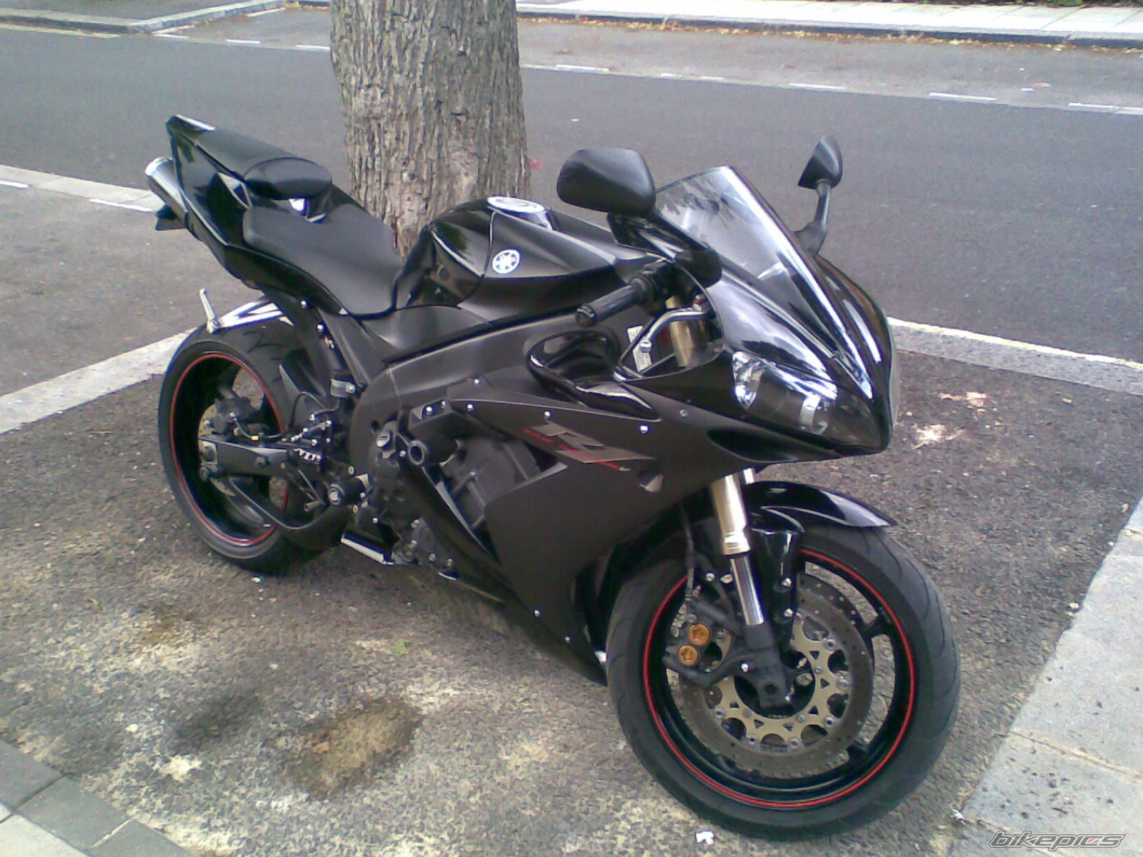 2005 YAMAHA YZF R1 | Picture 1059817 motorcycle photo