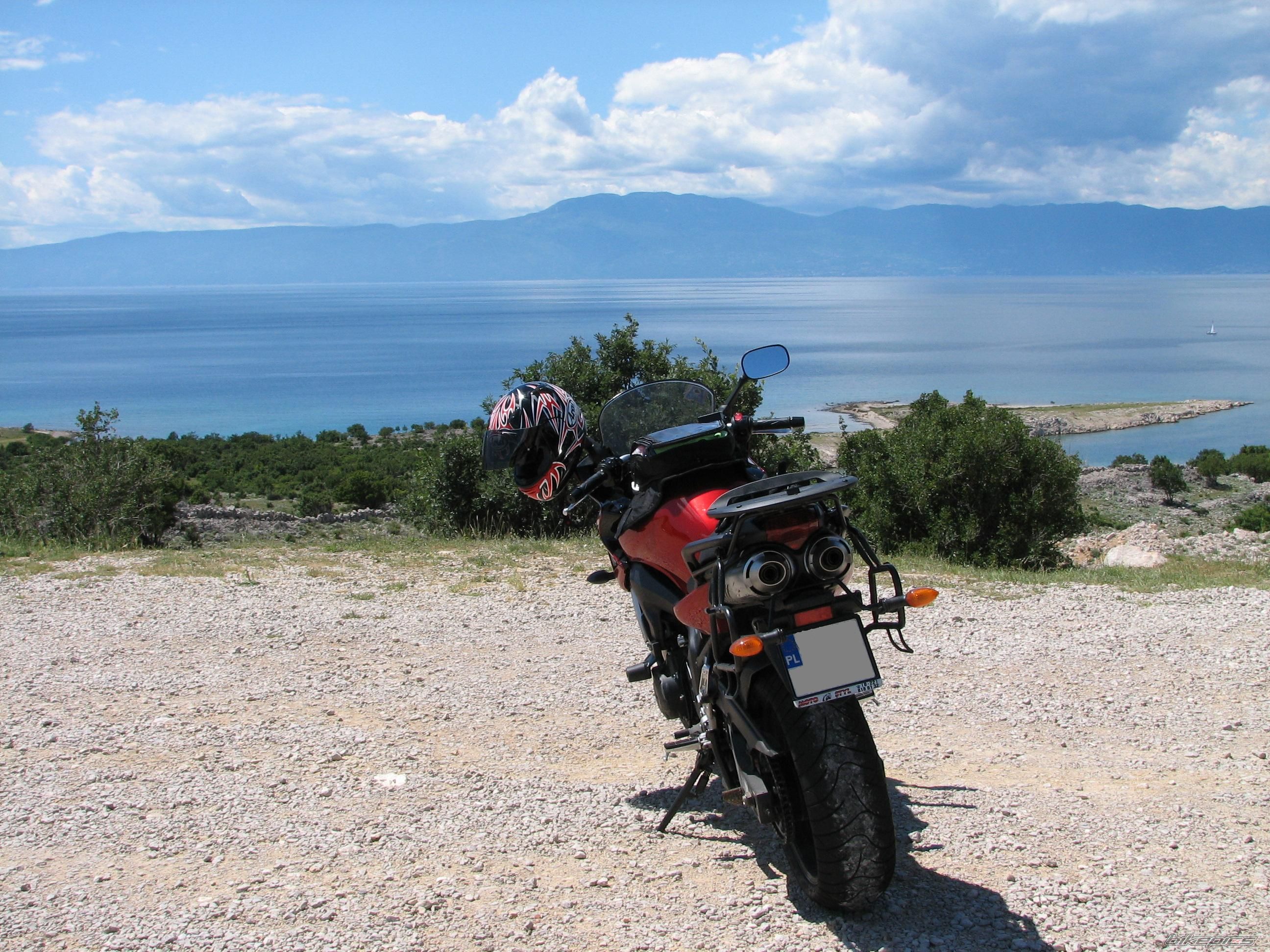 2006 YAMAHA FZ6 FAZER | Picture 1060124 motorcycle photo